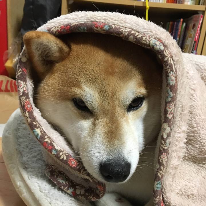 323ffee3 1075 4b79 9684 eb7064288144 1510973872901