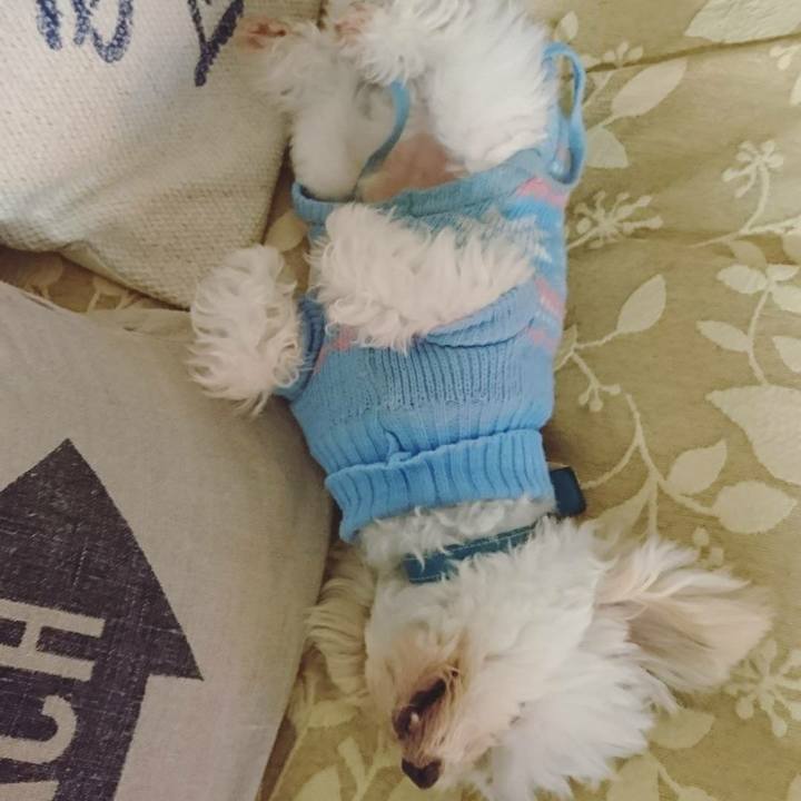 32401caf 59e5 4bf0 a05e cc40da16f271 1516447893366