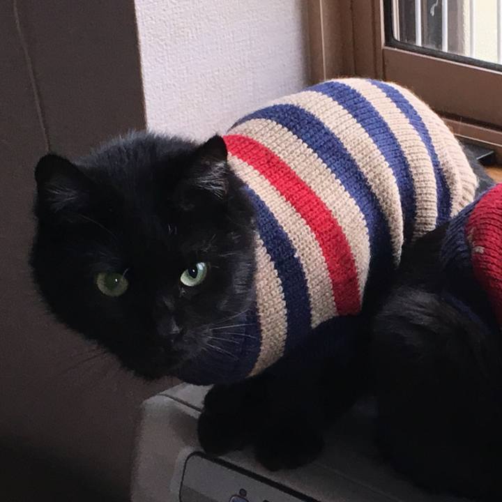 324021a1 bfab 4d46 98b8 35f051a0db9c 1539815862296