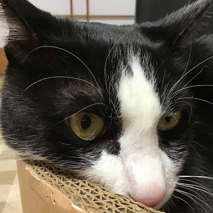 32404cc1 da91 4f6c b15c a5d9034f275b 1740821214132