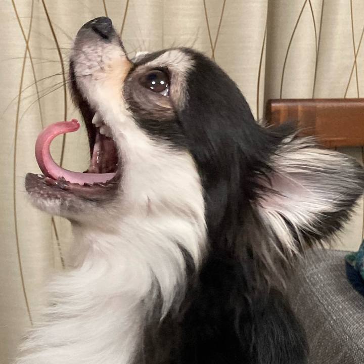 32405754 ac84 4fa3 bfba a0f536ba7cef 1648909460885