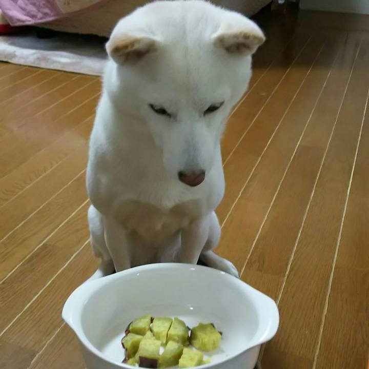 32406028 c691 4616 9dc4 c8b6219ea152 1542516379733