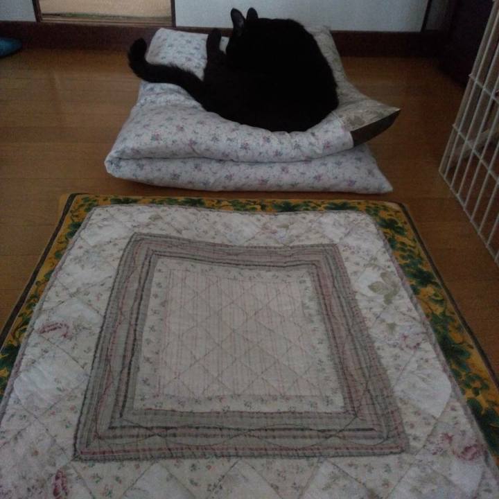 32408715 a4ff 4781 9fb0 e955e65b75c5 1603510737457