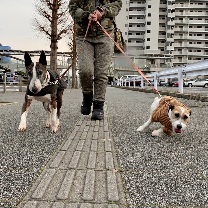 3240a580 f693 4bb7 a388 6b02dd5acba8 1613128776235