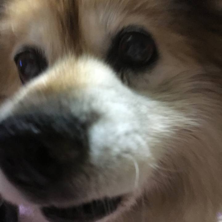 3240a871 65d1 4b89 89bd 35ca5644d6af 1605450921464