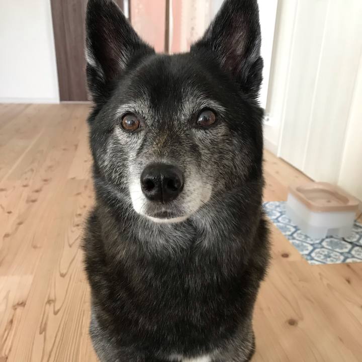 3240b17e 727b 411e 9ca1 b996e678d74f 1594468777859