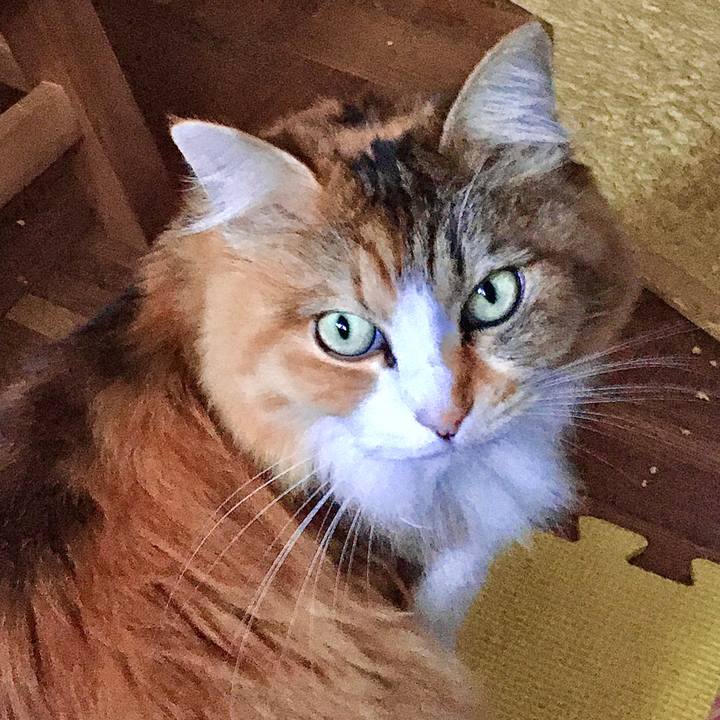 3240bf24 6fba 488c 9d90 e897bf446e34 1573802559250