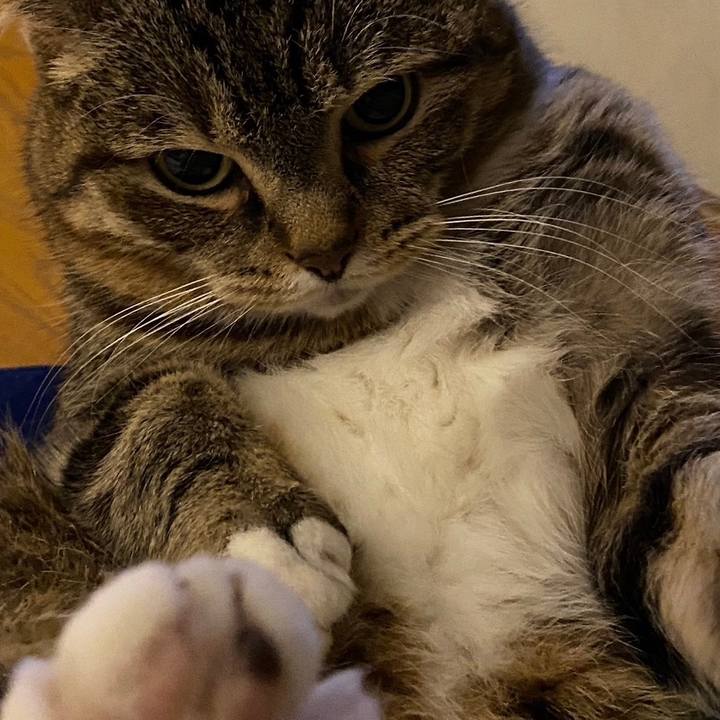 3240c40f 120d 48e9 94e7 51f06864a8db 1713772027734