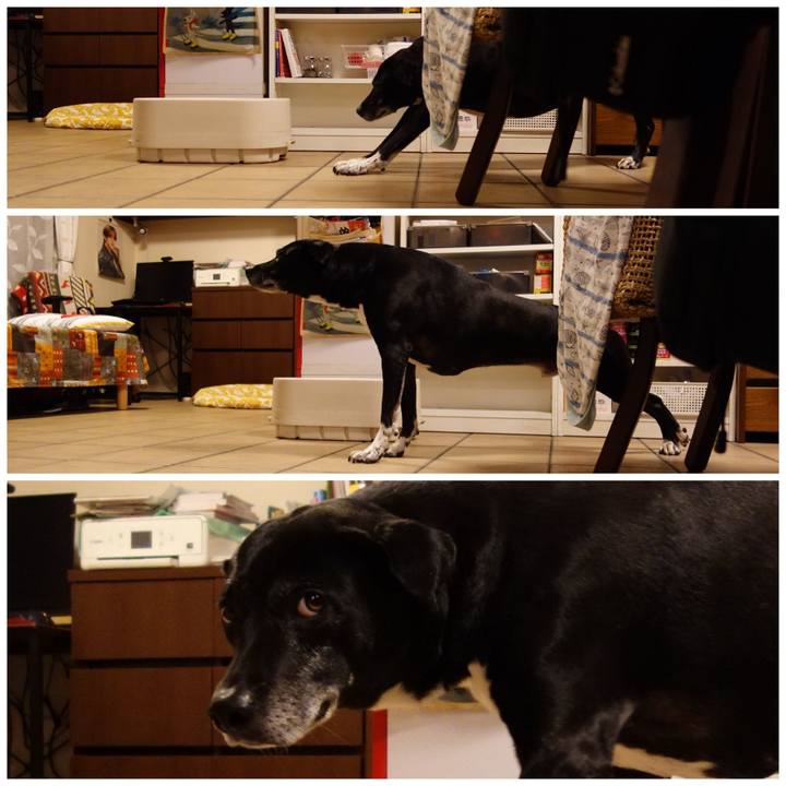 3240e870 a786 4c8c 9c30 e7ef95c63321 1739790528217