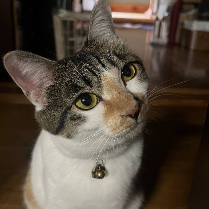 3240eabe 468d 4005 bebb 76460432206e 1759839439961