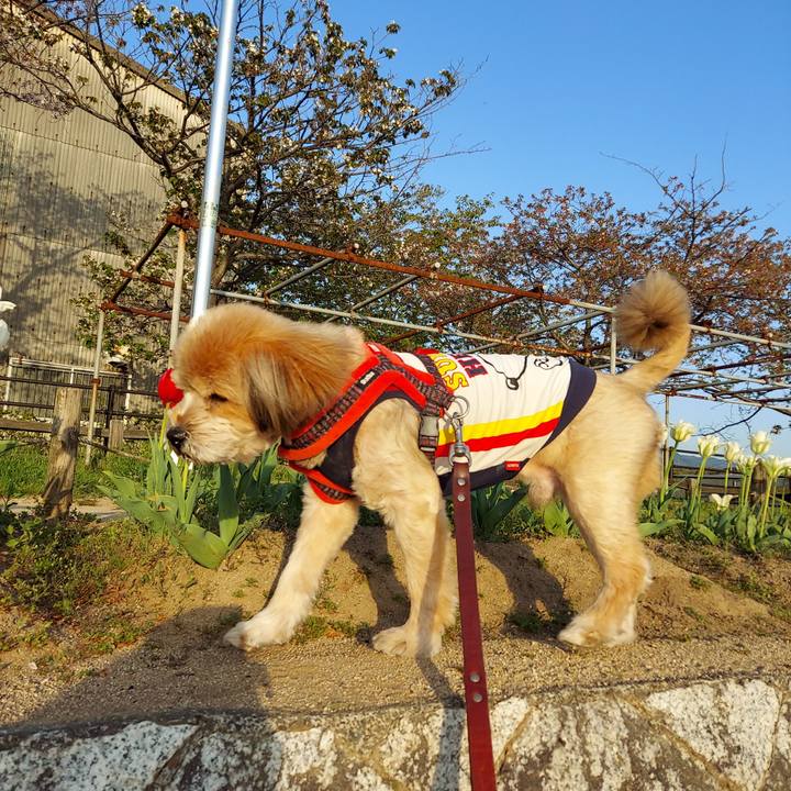 324166aa cf87 4712 995a ae76682660d3 1649509673827