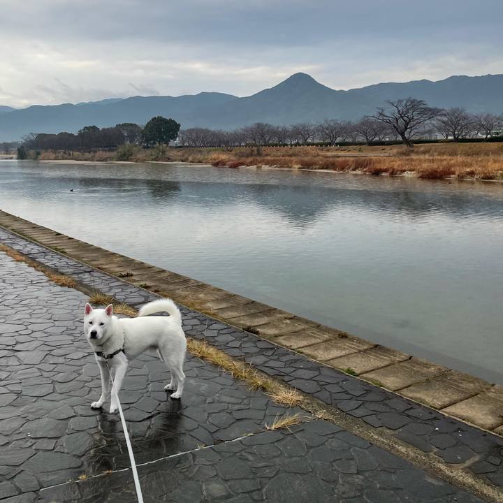 32416779 fc67 498f 8420 e5d2b8f44633 1611276064053