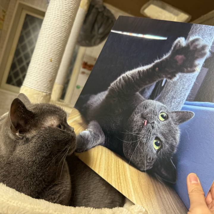 3241de00 0db4 4e89 8fec 67633b3d475f 1763371222759