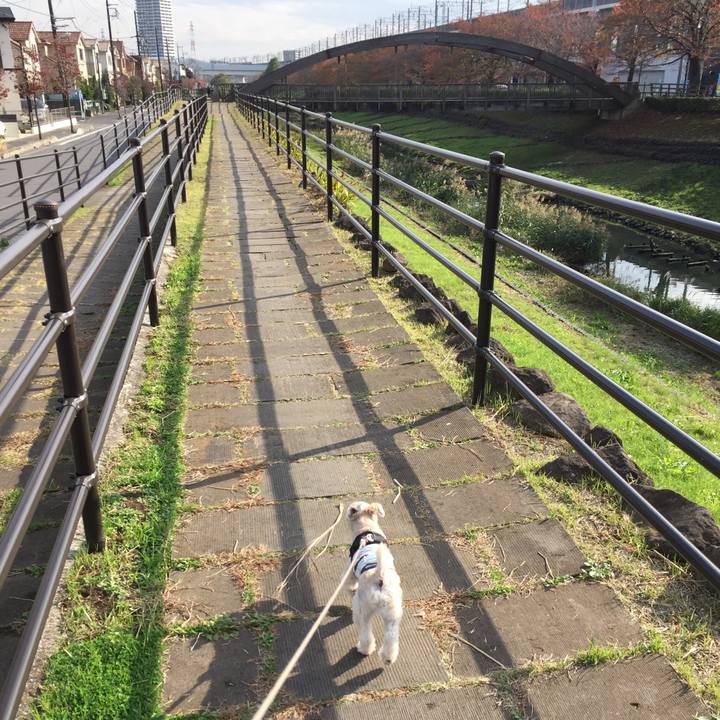 3242249c 0225 4764 8b21 7f74ea2dba13 1542350833956