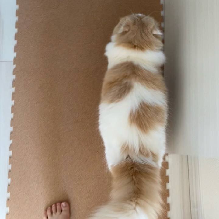 3242507f 0063 4d55 9f9f a5fd35d69a10 1664602984154