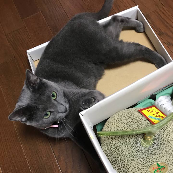 32425d56 2f7c 470d bdf9 97d102e810d0 1563947323648