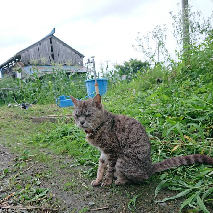 32427fd3 c0eb 485e abaf 7abe0bfb7754 1595666750664