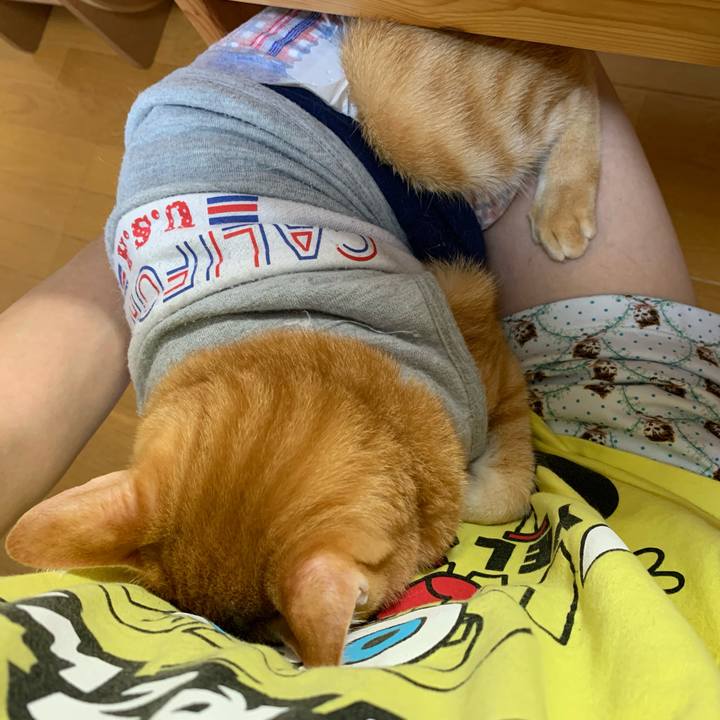 3242a2de e199 4c40 82ec 8adc10b50b38 1633210550843