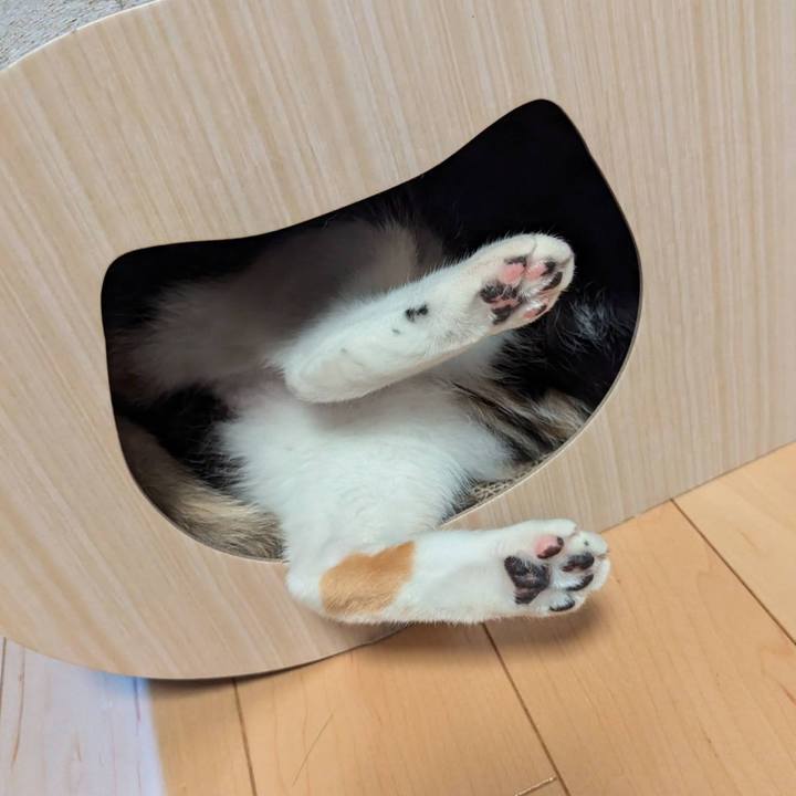 3242ccc7 a673 401c 804f 7c4675a3e1c9 1732268908295