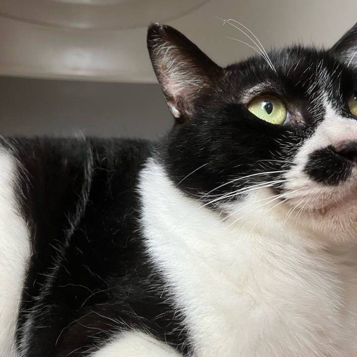 3242f515 d2c1 43bd 8705 ae79989ac29b 1715159532204