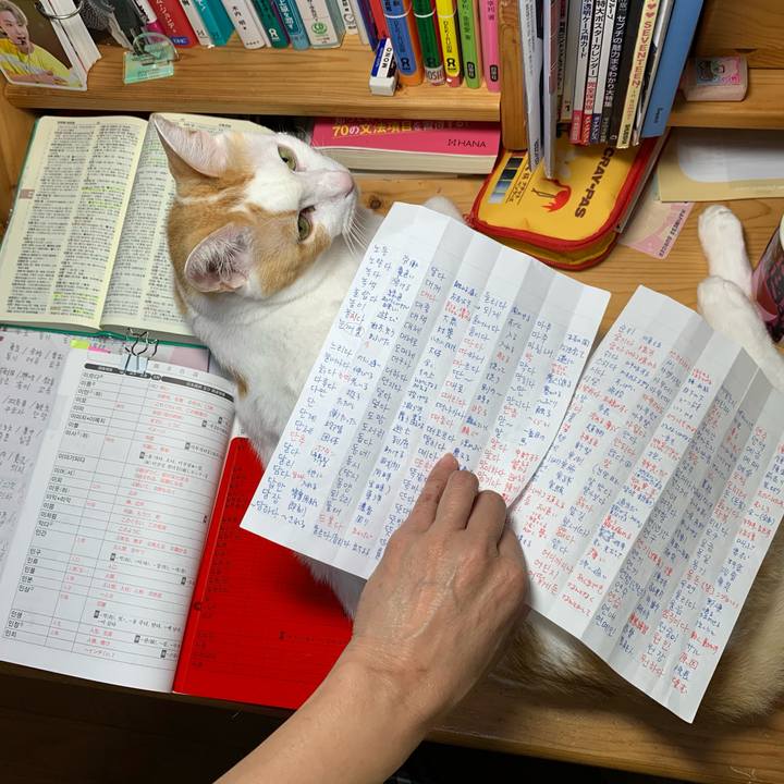 324301d8 4b8c 45ac b3bb 5f28f14e2b70 1604795101590