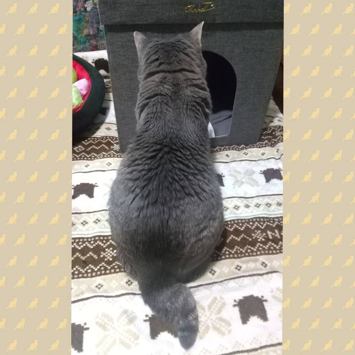 32431f1a 9ba9 4521 924a f709a101ca8b 1668332015469