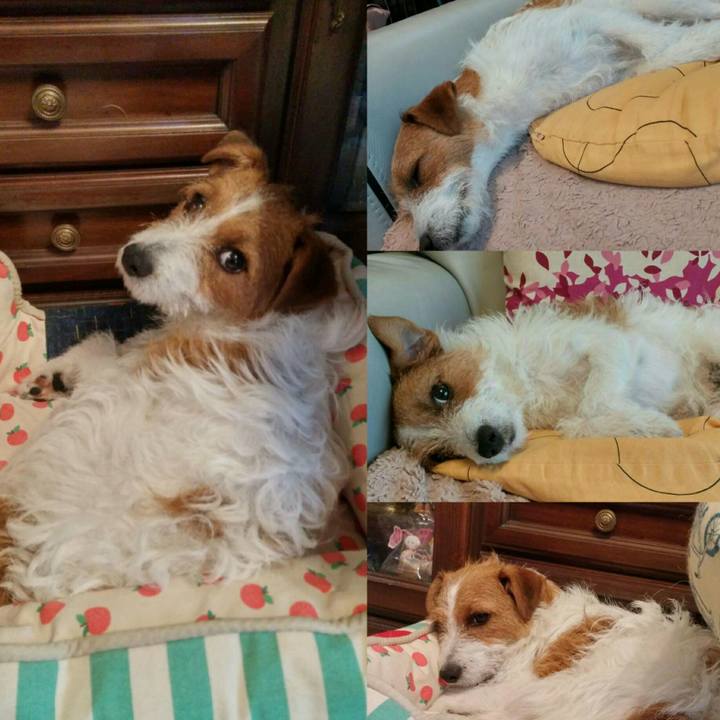 32435d97 0354 42d3 b61a 8319066e020f 1529479112225