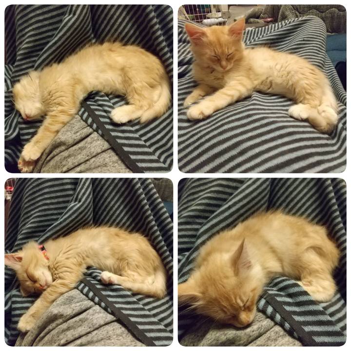 32436c97 a654 4535 95f5 43e1368f55e8 1604750734260