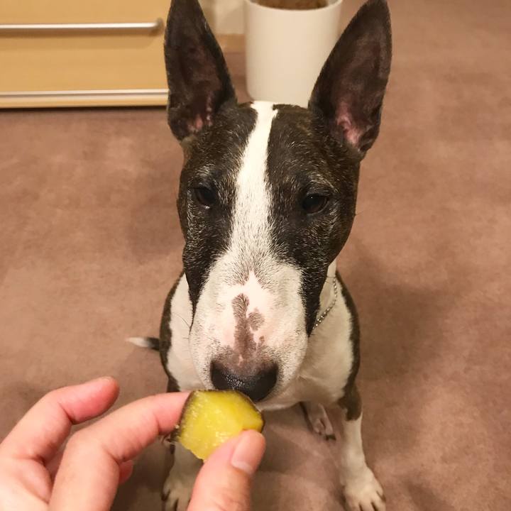 32437988 d81b 43a4 b6ef 10030faccf65 1527252329451