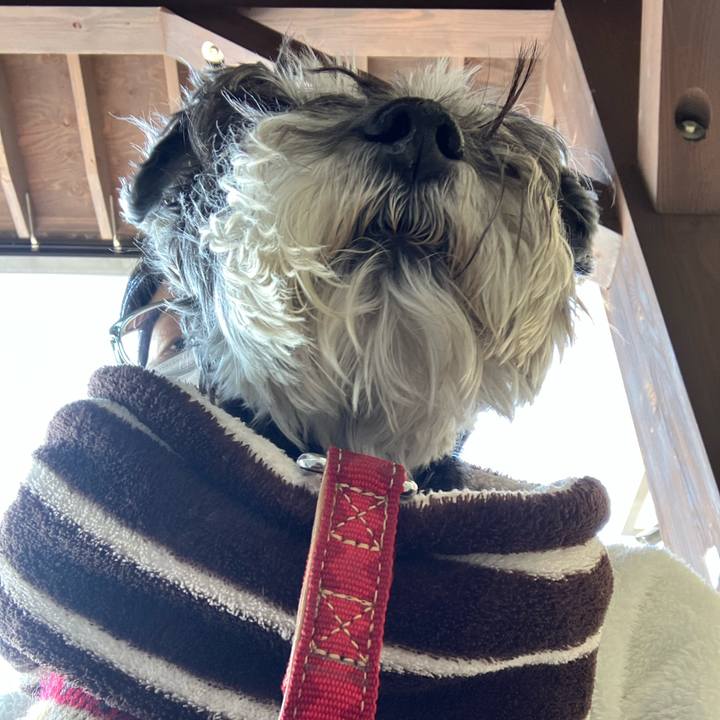 3244048d c074 44b8 b40b 32a31157ac4f 1771132765200