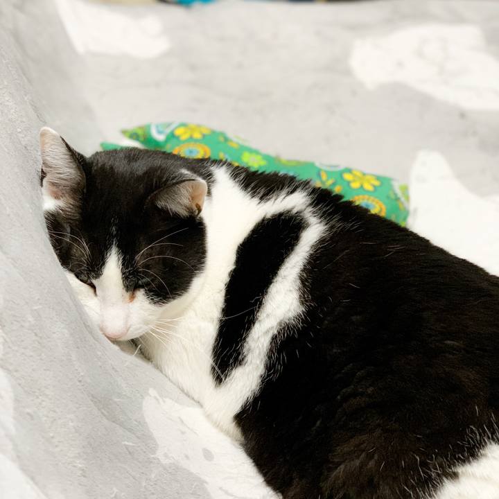 324408fa 414f 4573 af79 9a301f099ddb 1588468361008