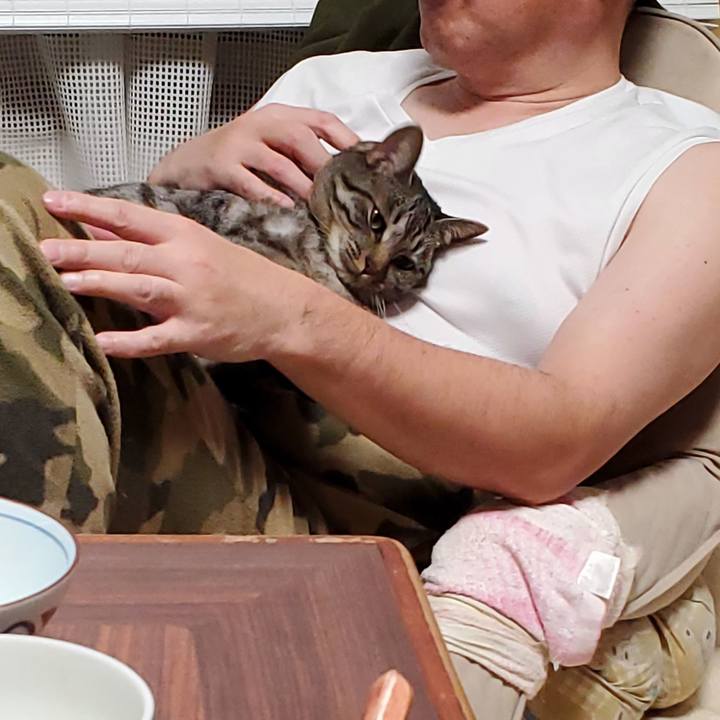 32441abf f43f 4386 901b 36368e78892e 1706196912655