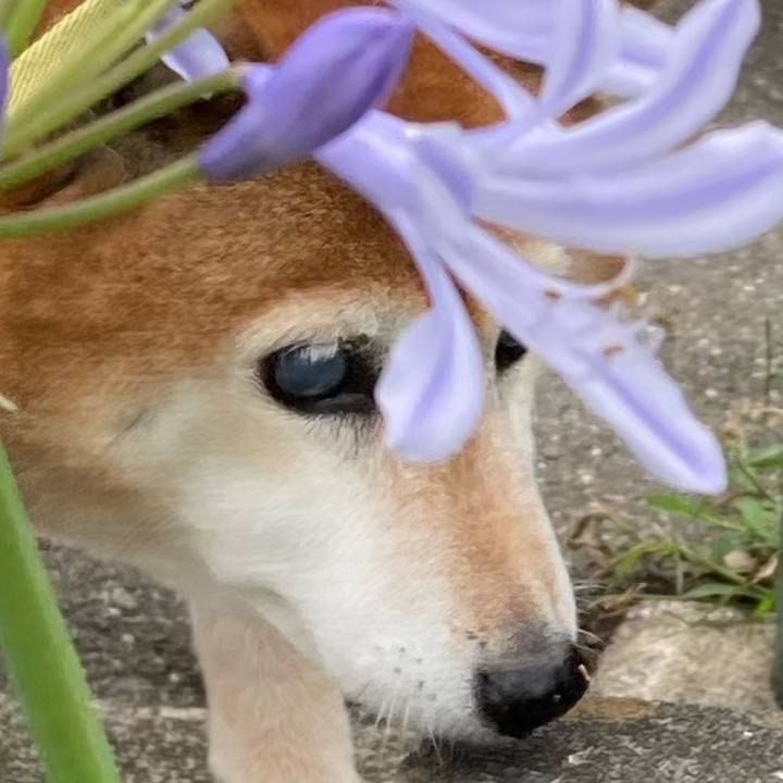 32442429 cb0f 4912 935a da17d138b8a6 1686369184439