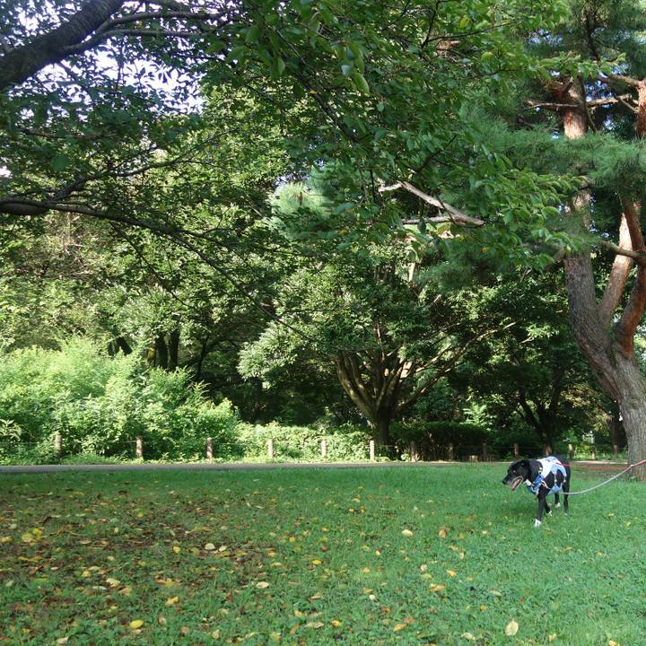 32442885 878a 4fe5 b17b 7d383e004a5c 1692316683671