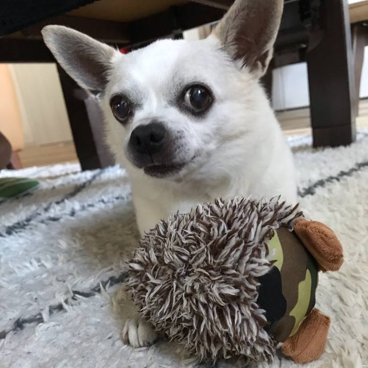 32442af2 a5b9 450f aea2 92851d538048 1633661501737