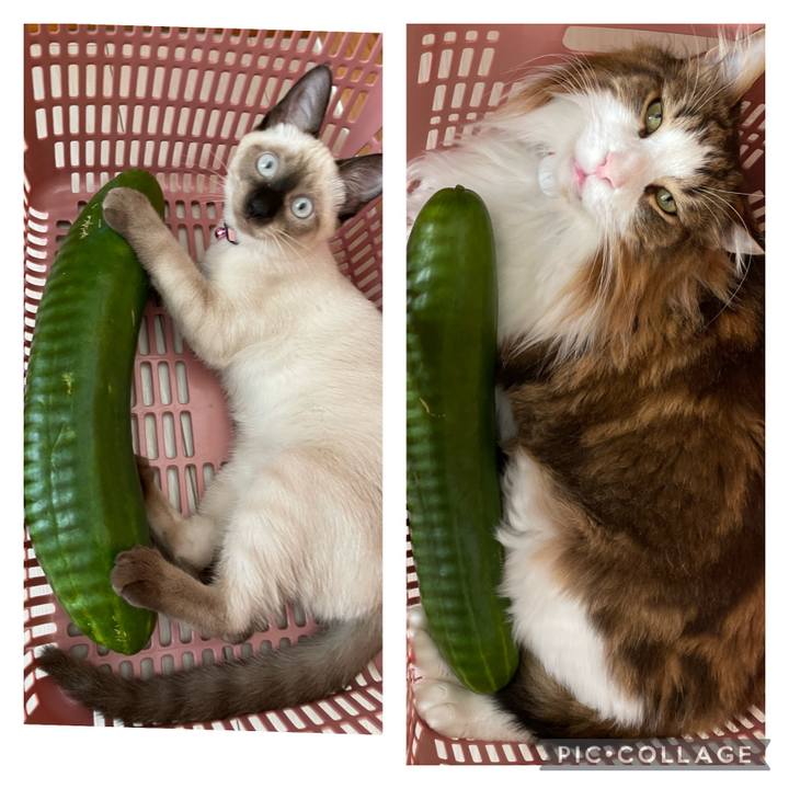 3244431c bc7c 4bbe ba25 835b3f1e2d36 1694303642872