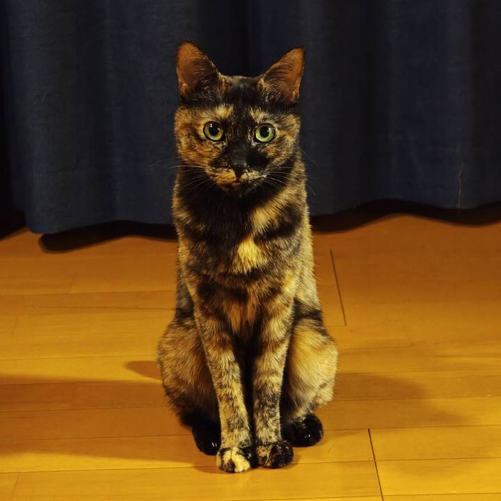 32449007 ec2f 4735 adc6 da763d5e339b 1767701336305