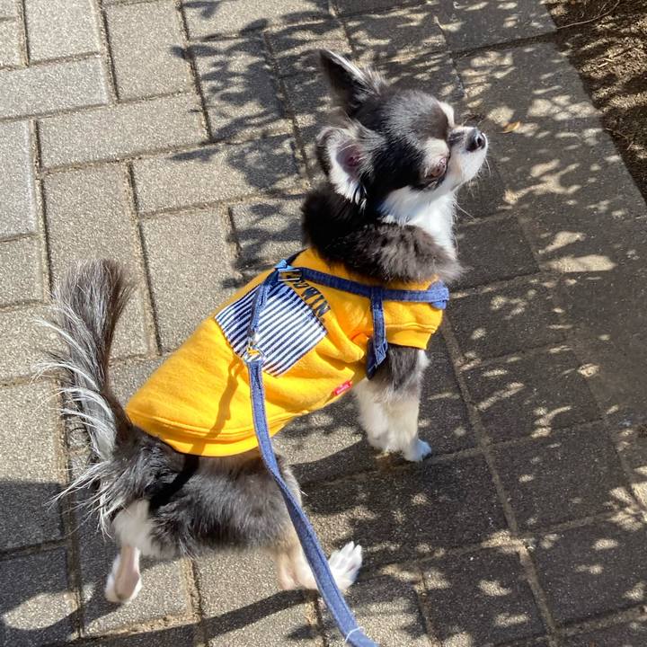 3244923c f20d 412f b0f1 9822c76cf82d 1670687588553