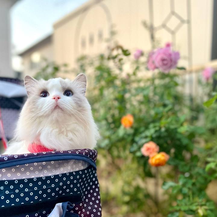 3244acbd 2a4f 4e79 803e ebad15d1eab2 1699173764720