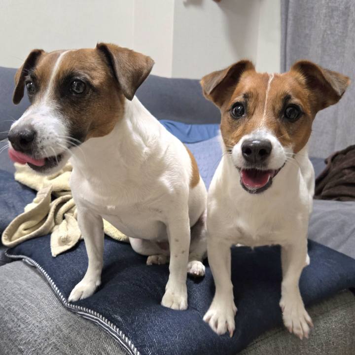 3244e21a 785e 47e1 875e 20c6a48acbca 1774438304822