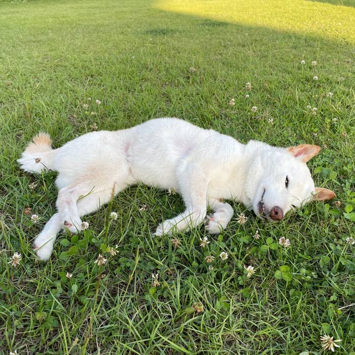 32452598 1e03 44ef a014 4a656fb81a20 1654613947736