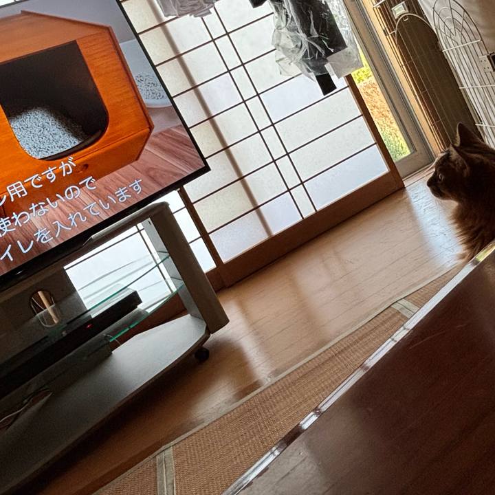 3245544b 7e3e 4300 b0df 94477ebdc2e9 1752278647915