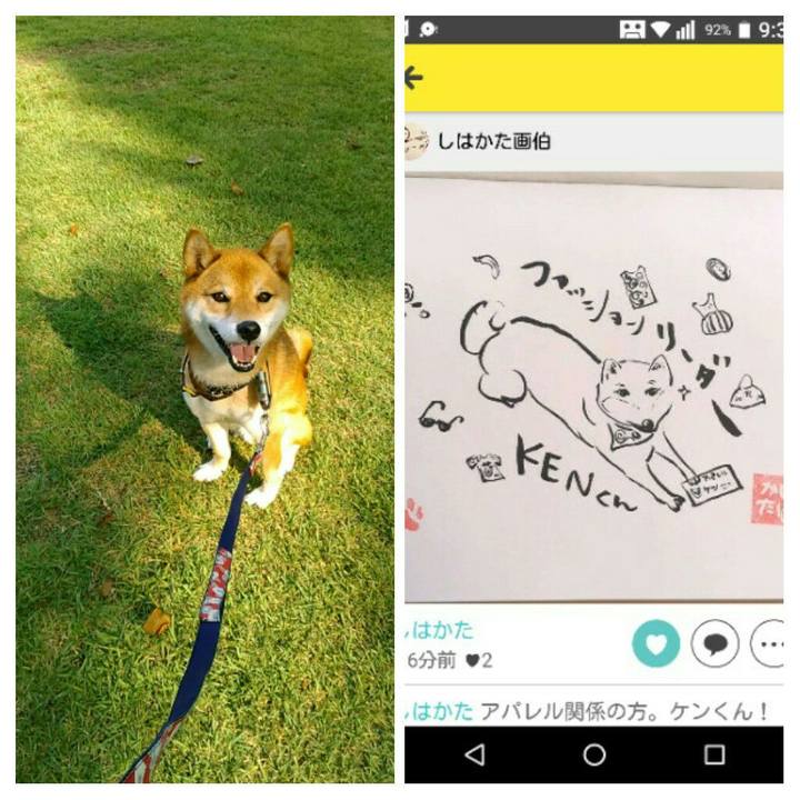 32457e41 d692 4e8f 9f6c fa2aa3941cb6 1567644928773