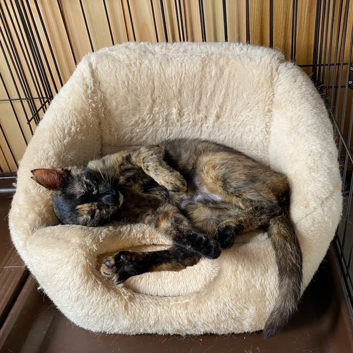 3245e18a 1134 47bf aac9 795eb88731d1 1719898294447