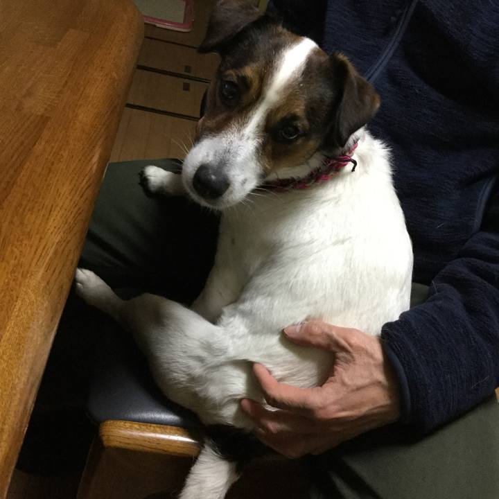 3245ee7a 35a0 49b4 a0bc 164477d805fd 1521800901729