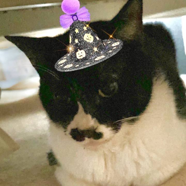 3245f88c 3601 4145 bc5f 453fea410fd2 1730333754530