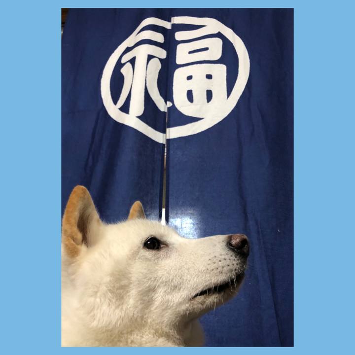 3245f996 e8cf 4657 86ee cb1752922e7f 1657340654822