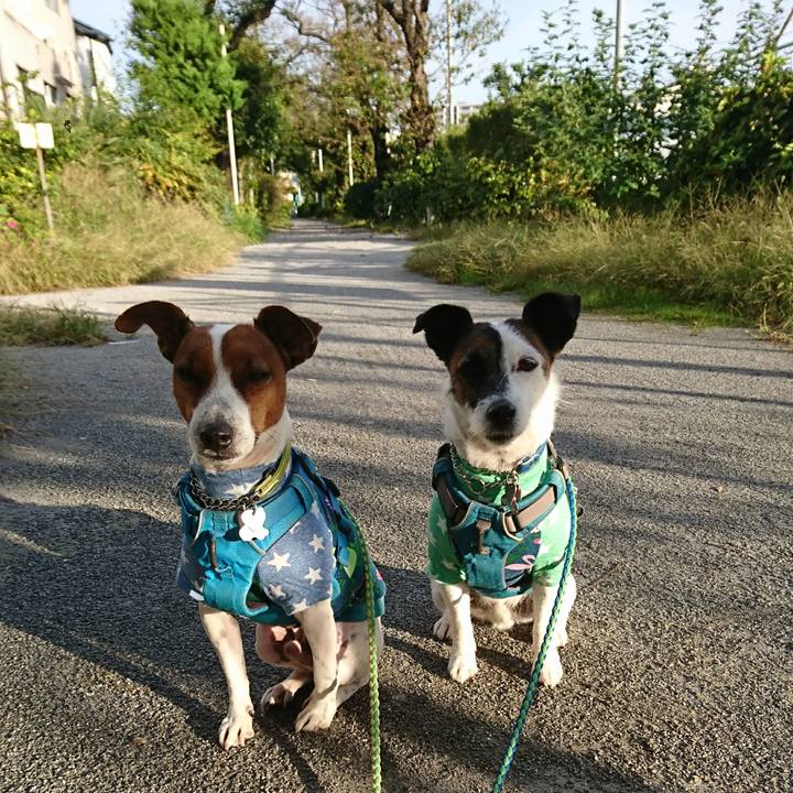 32461b15 0ebb 4a7a a531 4dd35150a021 1603146090398