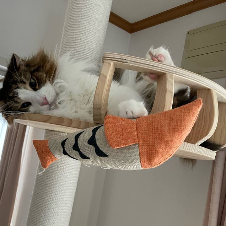 32461def a7d9 4120 b825 413340a6863c 1679608893272