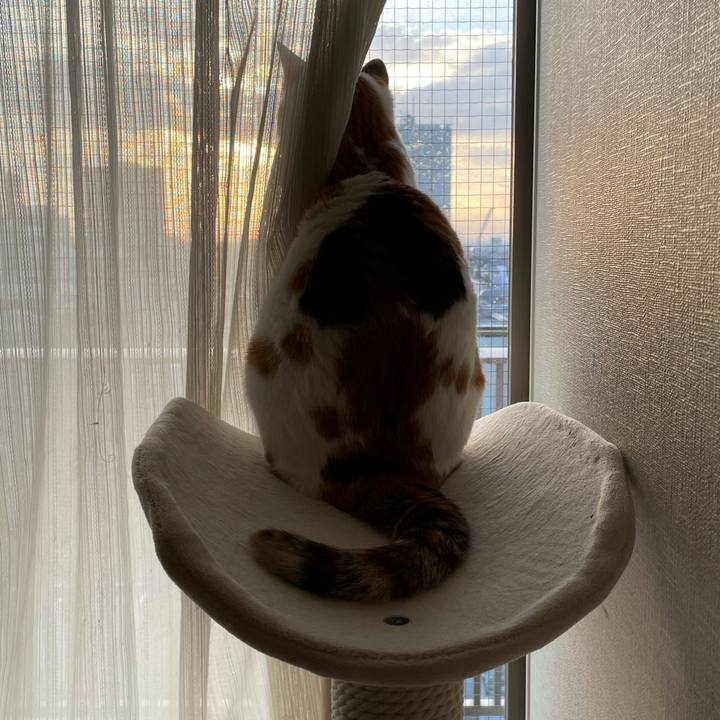 324631c1 025b 4cb0 98a4 ed3a5dcceaf9 1613289400964